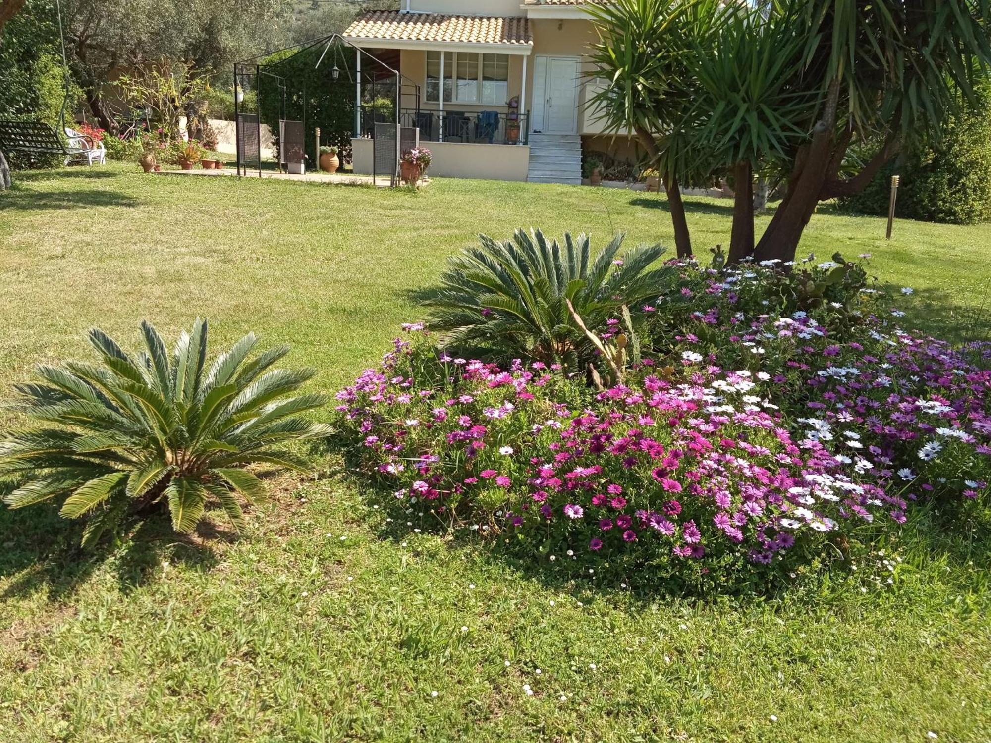 Sunny Garden Villa Platariá Quarto foto
